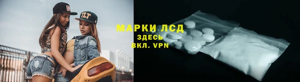 прущие грибы Абинск