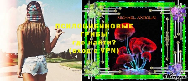 прущие грибы Абинск
