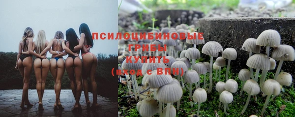 мяу мяу мука Абдулино