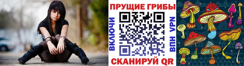 Галлюциногенные грибы мухоморы  купить наркоту  Тамбов 